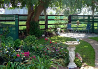 Rural Garden