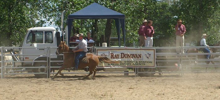 Ray Donovan Stock and Station conducts regular horse sales